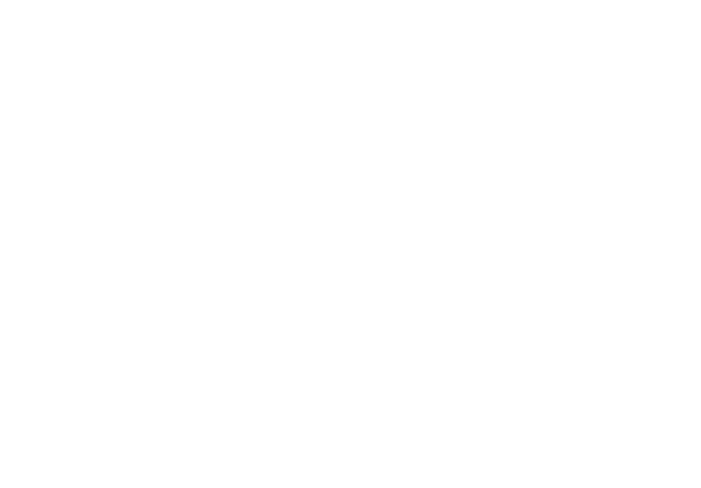 logo FEN & LUX